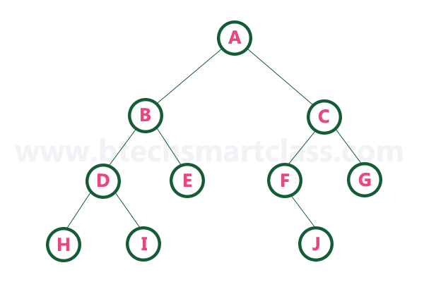 Binary Tree